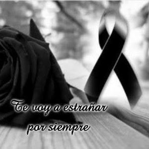 Meet your Posher, Angelica elizabeth